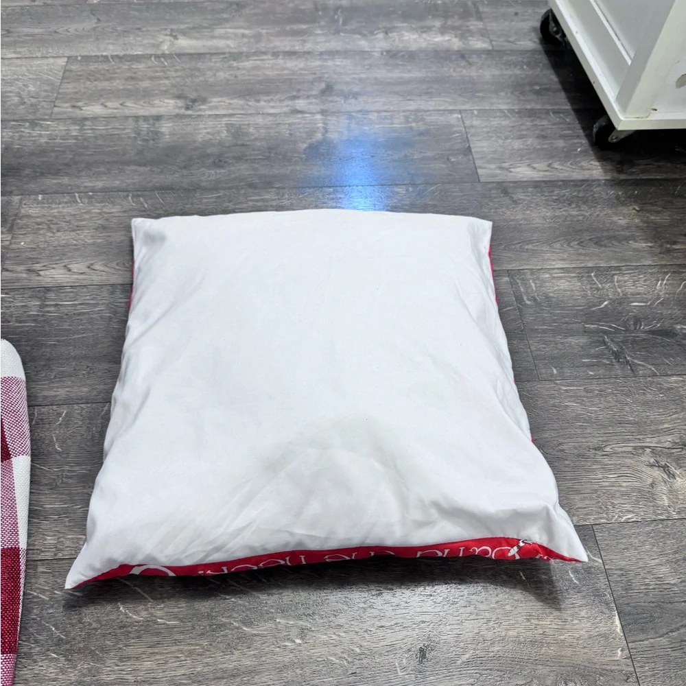 Set‎ of one Throw Pillow and one Throw Pillowcase.